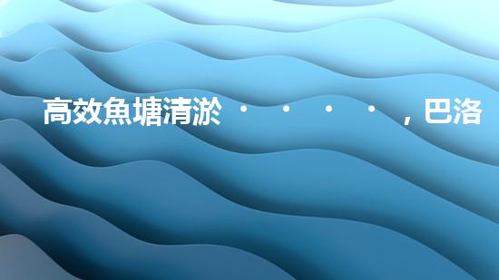 高效魚塘清淤，巴洛仕設(shè)備助力生態(tài)養(yǎng)殖